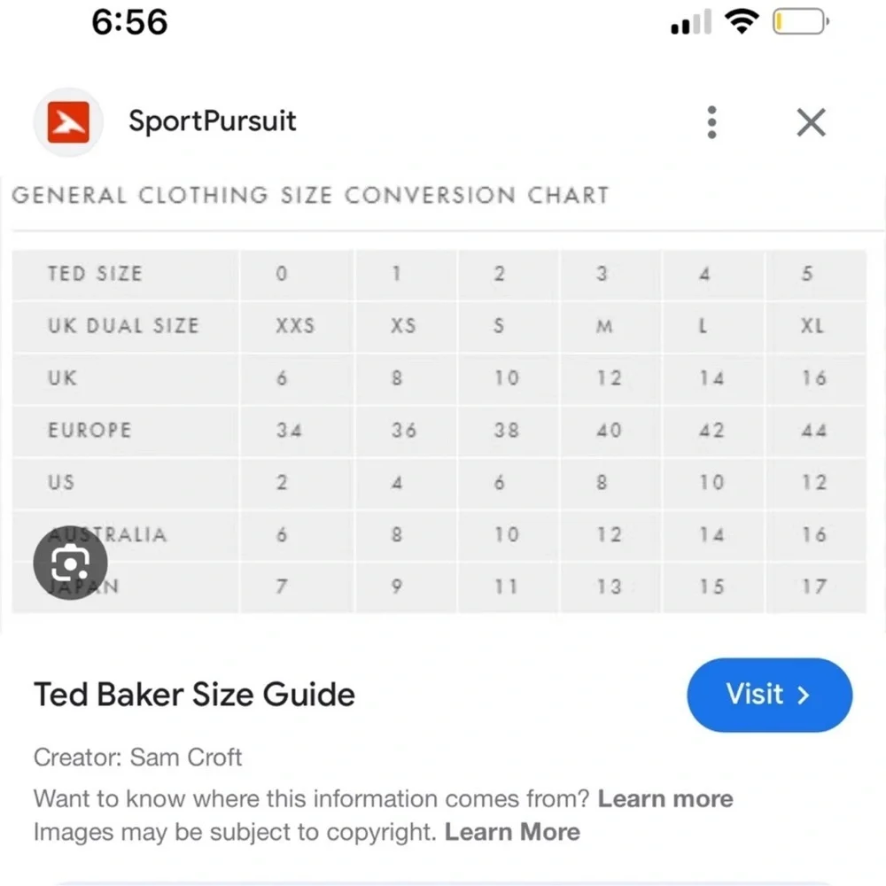 Ted baker London white tildra smoked fit and flare mini dress size large 10 nwt - Picture 10 of 11